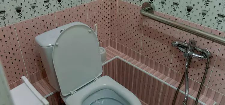 Meeting Diverse Needs With Accessible Restroom Solutions in Arnold, MO